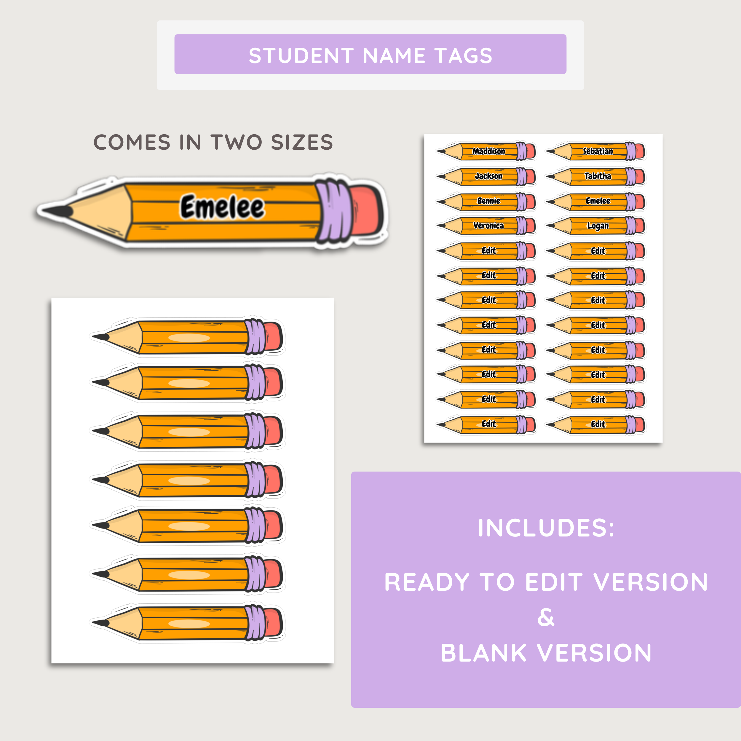 We Are A Sharp Bunch Bulletin Board: End Of School Year Testing Display Kit, PDF